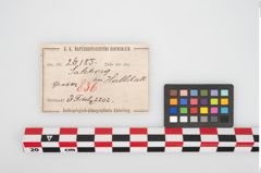 Etikett zu Bronzebrillenfibel (NHMW-PRAE-026185)
